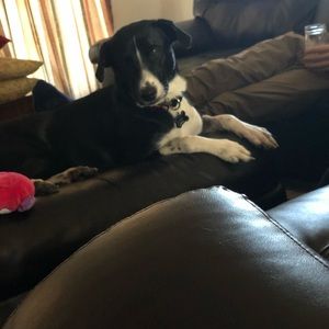 Meet your Posher, Johnny